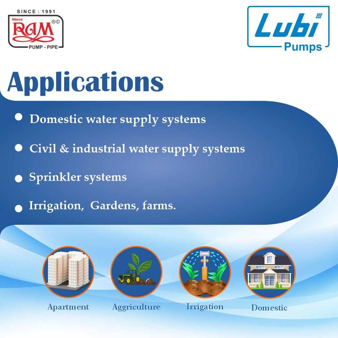 LUBI SS Shallow Well Jet Pump (F Class)